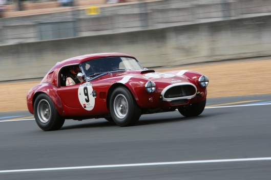 Light weight and high speed, the main characteristics of the Cobra